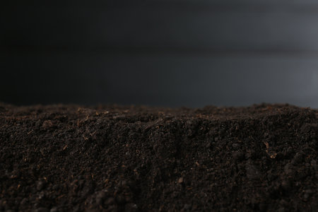Pile of fresh soil against blurred background, closeupの写真素材