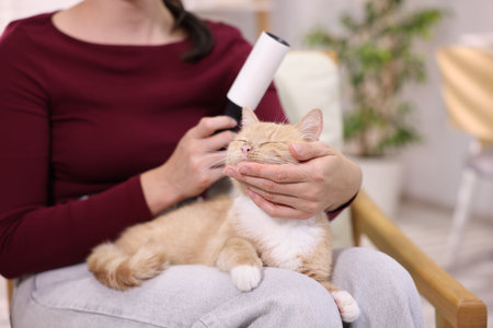 Woman with lint roller stroking her cat on armchair at home, closeupの写真素材