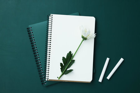 Notebooks, flower and pieces of chalk on chalkboard, flat layの写真素材