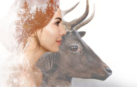 Beautiful young woman and stag, multiple exposure with forest. Collage on white backgroundの写真素材