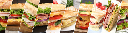 Tasty sandwiches with different fillings, collage. Banner designの写真素材