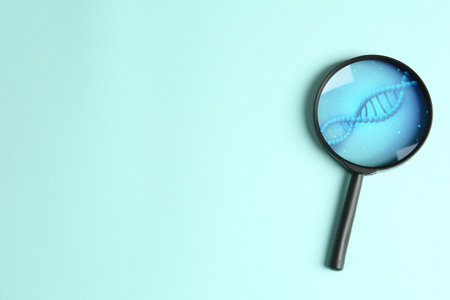 DNA spiral in magnifying glass on light blue background, top view. Genetic analysis and researchの写真素材