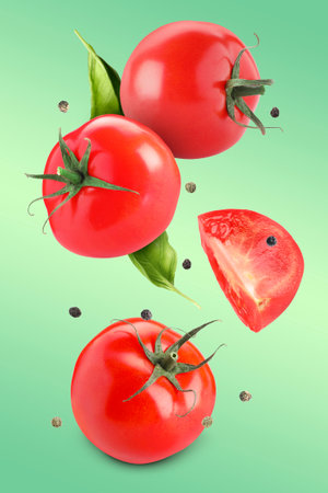 Fresh tomatoes, basil leaves and peppercorns flying on green gradient backgroundの写真素材