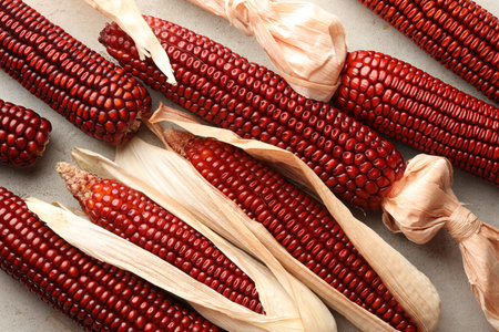 Ripe red corn cobs on light table against, flat lay