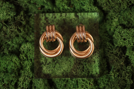 Stylish presentation of earrings on green moss, top view