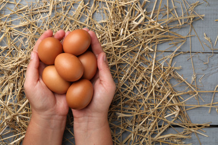 Woman with raw chicken eggs and straw at gray wooden table, top view. Space for textの写真素材