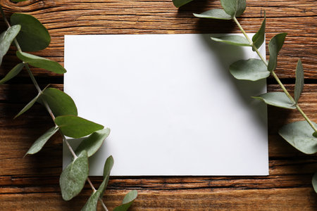 Blank card and eucalyptus branches on wooden table, flat layの写真素材