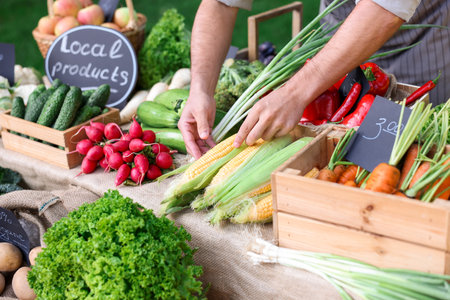 Farmer near stall with different fresh vegetables at market, closeupの写真素材