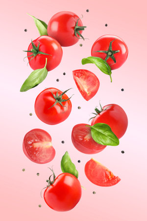 Fresh tomatoes, basil leaves and peppercorns flying on pink gradient backgroundの写真素材