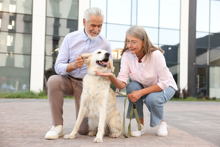 Happy senior couple with adorable Golden Retriever dog outdoorsの写真素材
