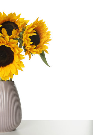 Beautiful sunflowers in vase isolated on whiteの写真素材