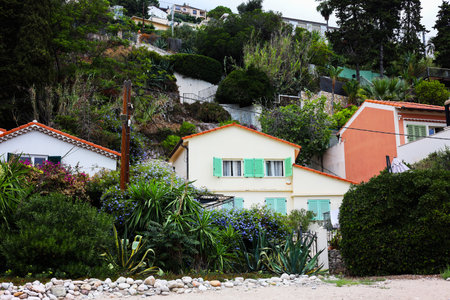 Different houses and plants on hill near beachの写真素材