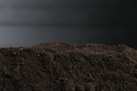 Pile of fresh soil against blurred background, closeupの写真素材