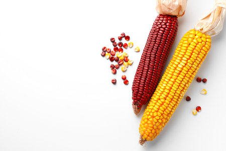 Red and yellow corn cobs with kernels on white background, flat lay. Space for textの写真素材