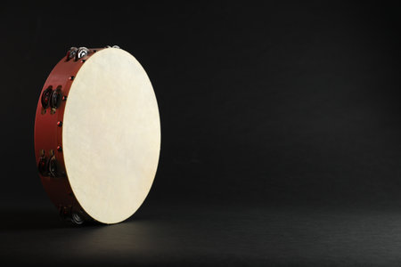 Tambourine on black background.の写真素材