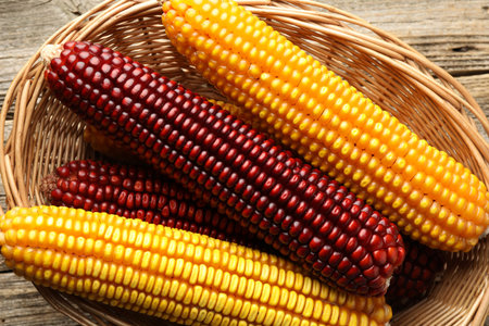 Red and yellow corn cobs in basket on wooden table, top view