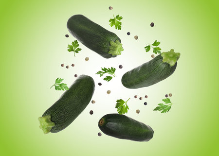 Fresh zucchini and parsley falling against light green backgroundの写真素材
