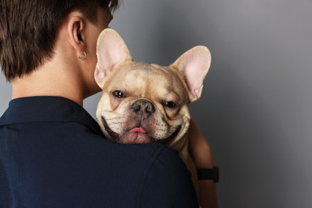 Man holding his cute French bulldog on gray background, back viewの写真素材