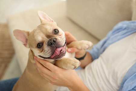Man with his cute French bulldog on sofa at home, closeupの写真素材