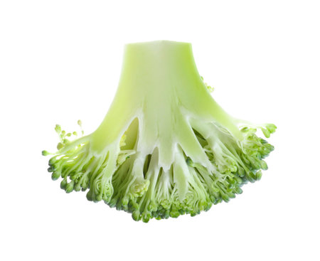 Fresh raw green broccoli isolated on whiteの写真素材