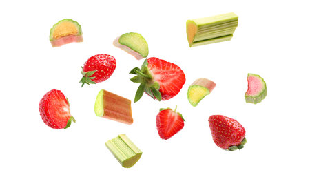 Fresh rhubarb pieces and strawberries flying in air against white backgroundの写真素材