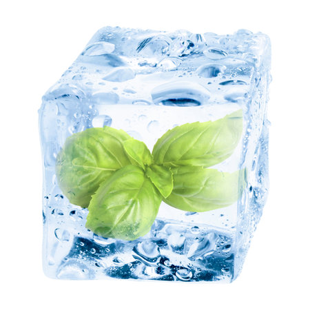 Fresh basil leaves inside ice cube on white backgroundの写真素材