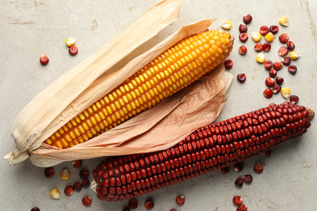 Red and yellow corn cobs with kernels on light table, flat lay