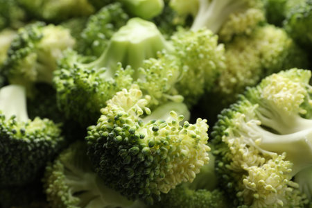 Fresh green broccoli as background, closeup viewの写真素材