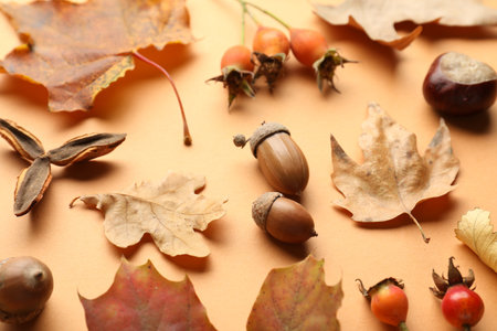 Dry autumn leaves, rose hip berries and acorns on pale orange background, closeupの写真素材