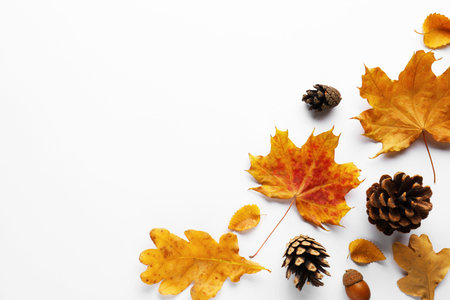 Dry autumn leaves, pine cones and acorn on white background, flat lay. Space for text