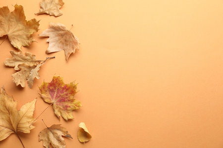 Dry autumn leaves on pale orange background, flat lay. Space for textの写真素材