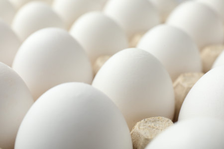 Many raw chicken eggs in egg carton, closeup