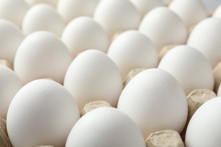 Many raw chicken eggs in egg carton, closeupの写真素材