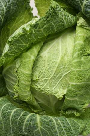 Fresh ripe Savoy cabbage as background, top viewの写真素材