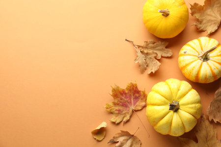 Dry autumn leaves and pumpkins on pale orange background, flat lay. Space for textの写真素材