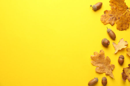 Dry autumn leaves and acorns on yellow background, flat lay. Space for textの写真素材