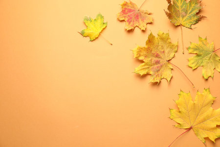 Beautiful autumn leaves on pale orange background, flat lay. Space for text