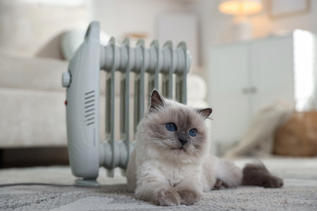 Adorable cat warming near electric heater on carpet at home, closeupの写真素材