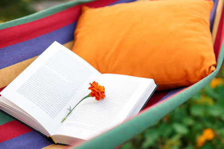 Cushion, book and flower on hammock in garden, closeupの写真素材