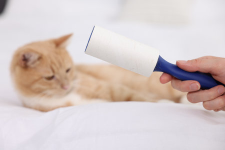 Woman with lint roller and her cat on bed, selective focusの写真素材