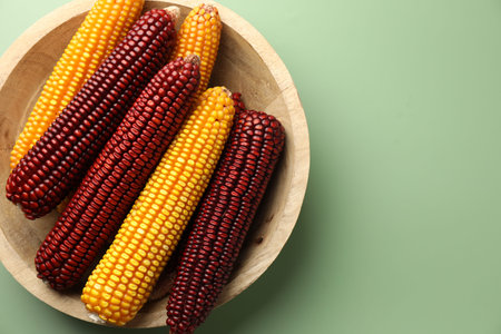 Red and yellow corn cobs on light green table, top view. Space for text