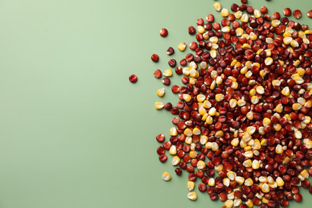 Kernels of red and yellow corn on light green table, flat lay. Space for textの写真素材