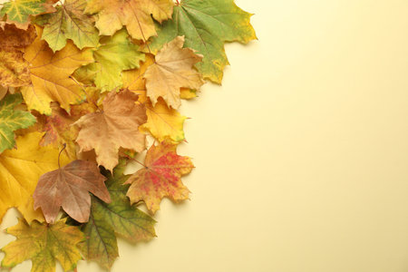 Beautiful autumn leaves on beige background, flat lay. Space for text