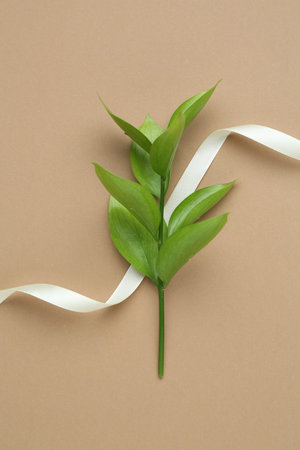 Beautiful ribbon and green leaves on beige background, flat lay