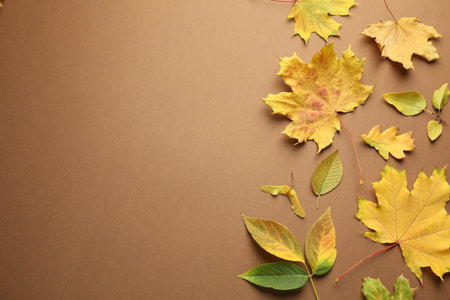 Beautiful autumn leaves on brown background, flat lay. Space for text