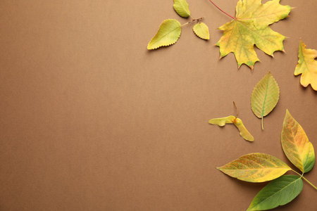 Beautiful autumn leaves on brown background, flat lay. Space for textの写真素材