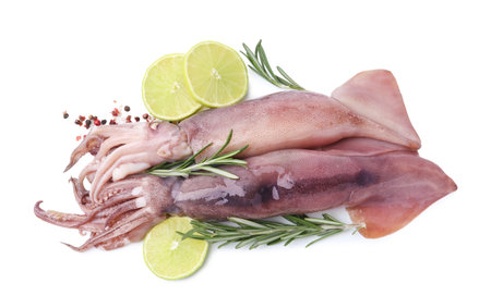 Fresh raw squids with rosemary, lime slices and spices isolated on white, top viewの写真素材