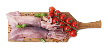 Fresh raw squids, tomatoes and spices isolated on white, top viewの写真素材