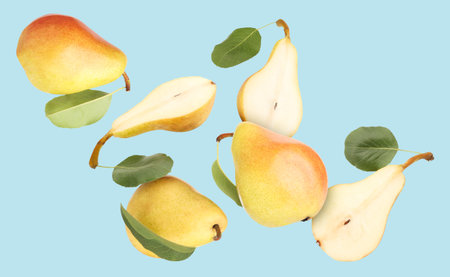 Fresh pears and green leaves falling on light blue backgroundの写真素材
