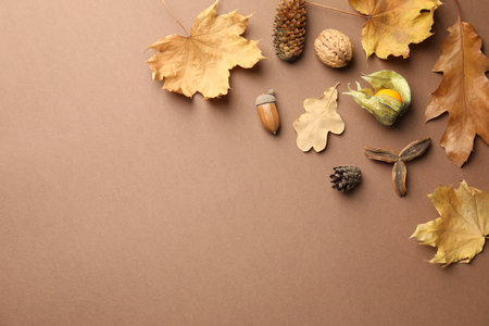 Dry autumn leaves, pine cones, acorn, walnut and physalis on dark beige background, flat lay. Space for textの写真素材